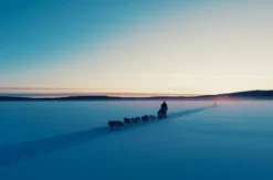 Abenteuerreise Lappland mit Hundeschlitten für 2 (2 Nächte)