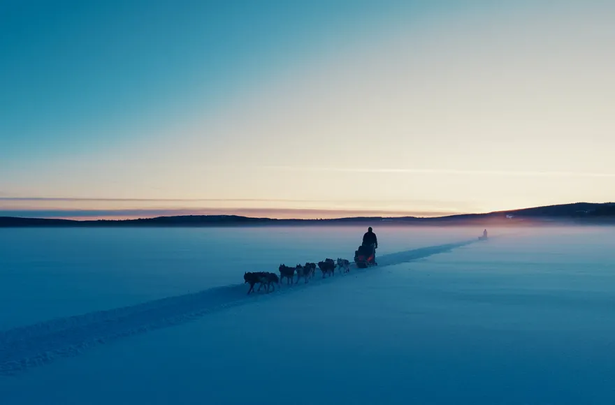 Abenteuerreise Lappland mit Hundeschlitten für 2 (2 Nächte)