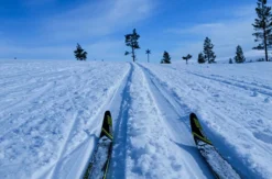 Abenteuerurlaub Lappland für 2 (5 Nächte)