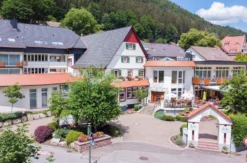Aktivurlaub im Schwarzwald für 2 (2 Nächte)