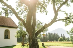 Aktivurlaub in Reutte für 2