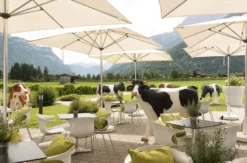 Aktivurlaub in Tirol für 2 (2 Nächte)