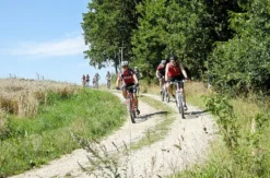 Aktivurlaub mit Mountainbike Tour Viechtach (1 Nacht)