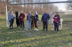 Alpaka Auszeit Schönau-Berzdorf
