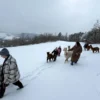 Alpaka Glühwein Wanderung Wilbich