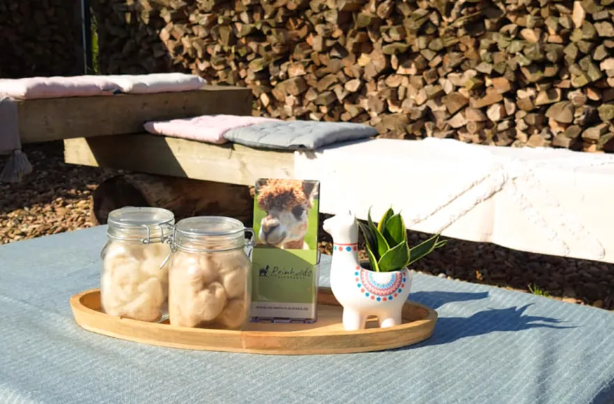 Alpaka Picknick für 2 Petershagen