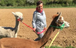 Alpaka Wanderung Arnstein für 2