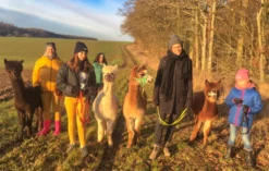 Alpaka Wanderung Arnstein für 2