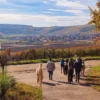 Alpaka Wanderung Dipbach für 2