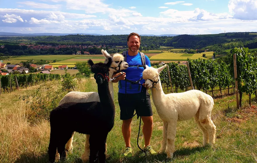 Alpaka Wanderung Dipbach für 2