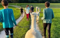 Alpaka Wanderung für 2 Taufkirchen
