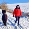Alpaka Wanderung mit Glühwein Arnstein