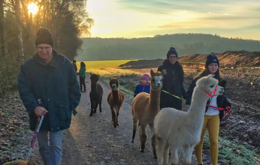 Alpaka Wanderung mit Glühwein Arnstein