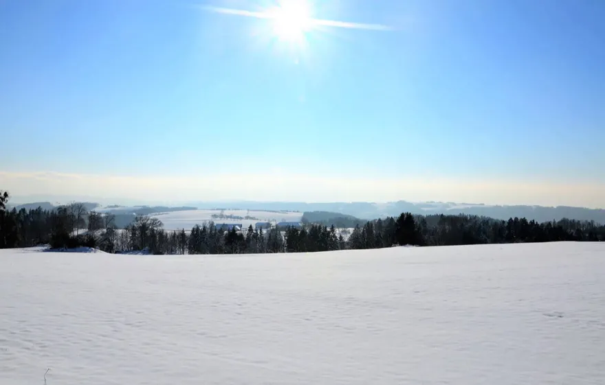 Alpaka Wanderung mit Glühwein Sankt Thomas am Blasenstein