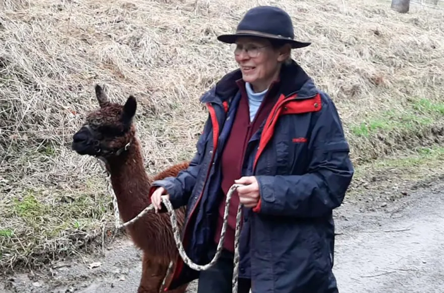 Alpaka Wanderung mit Picknick für 2 Waldenbuch