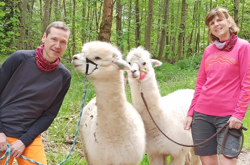Alpaka Wanderung mit Picknick für 2 Waldenbuch