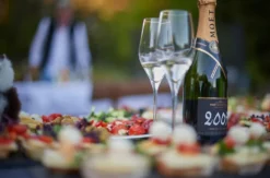 Alpaka Wanderung mit Speed Dating Iggensbach
