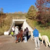 Alpaka Wanderung St. Egidien