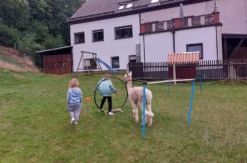 Alpaka Wanderung St. Egidien für 2