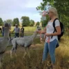 Alpaka Wanderung Wiederoda für 2