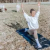 Alpaka Yoga für 2