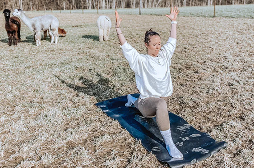 Alpaka Yoga für 2