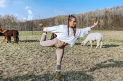 Alpaka Yoga für 2