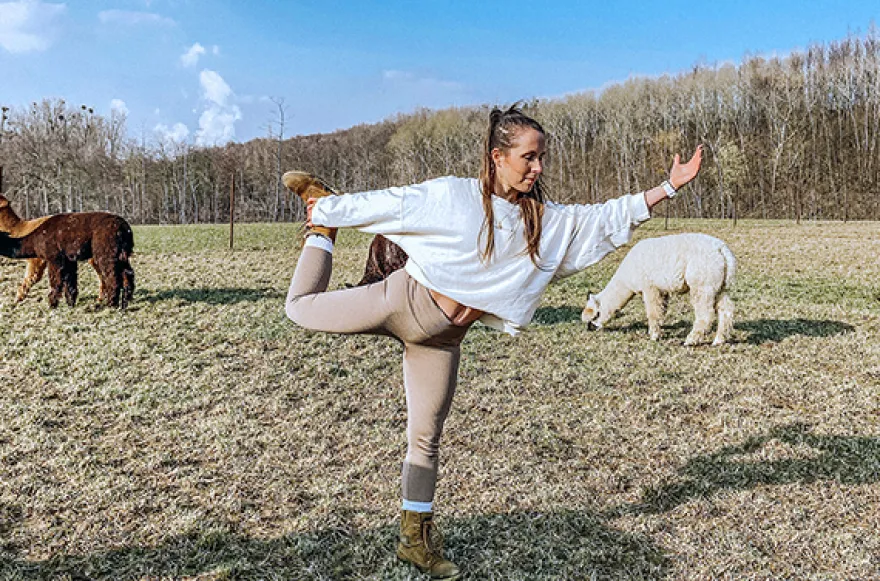 Alpaka Yoga für 2