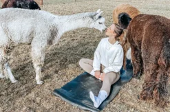 Alpaka Yoga für 2