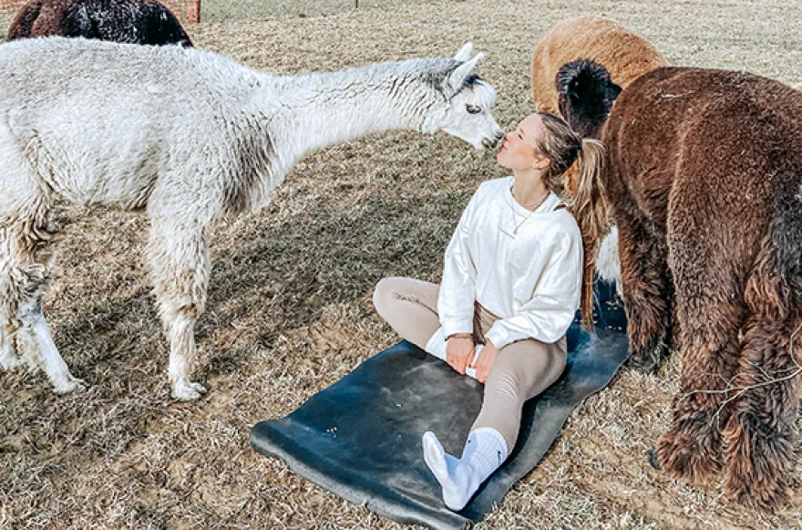 Alpaka Yoga für 2