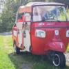 Ape Tour Dreiländereck Oberwart (4 Std.)