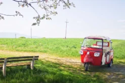 Ape Tour Dreiländereck Oberwart (4 Std.)