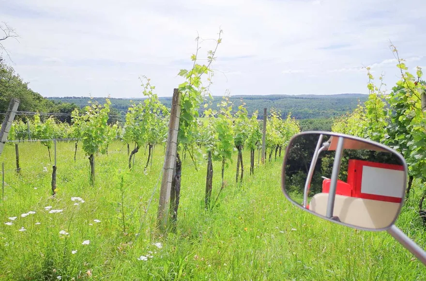 Ape Tour Dreiländereck Oberwart (4 Std.)