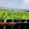 Ape Tour Oberwart (3,5 Std.)