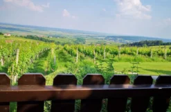 Ape Tour Oberwart (3,5 Std.)