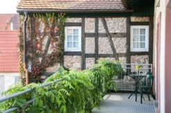 Asiatischer Kochkurs Weisenheim am Berg