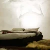 Außergewöhnlich Übernachten im Iglu Adelboden für 2 (1 Nacht)