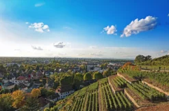 Außergewöhnlich Übernachten im Dachzelt Rülzheim für 2 (2 Nächte)