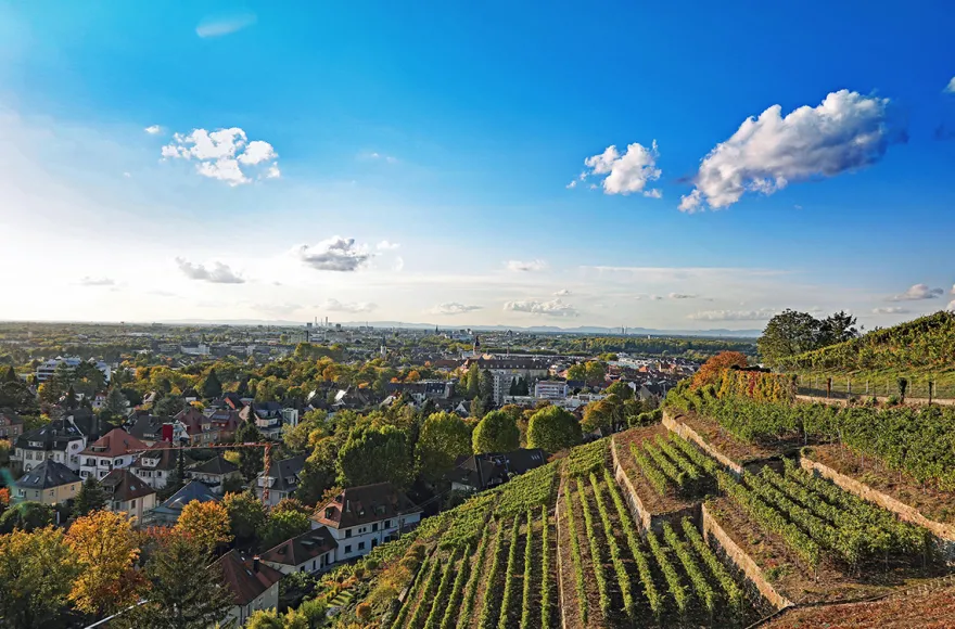 Außergewöhnlich Übernachten im Dachzelt Rülzheim für 2 (2 Nächte)