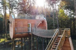 Außergewöhnlich Übernachten im Baumhaus im Wolfcenter Dörverden für 2 (1 Nacht)