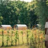 Außergewöhnlich Übernachten in der NestLodge Oranienburg für 2 (1 Nacht)