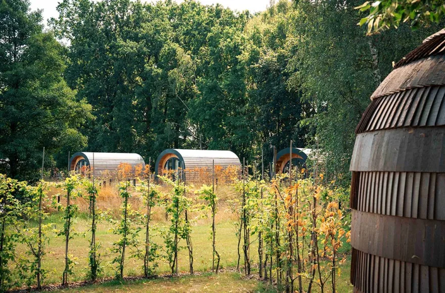 Außergewöhnlich Übernachten in der NestLodge Oranienburg für 2 (1 Nacht)