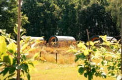 Außergewöhnlich Übernachten in der NestLodge Oranienburg für 2 (2 Nächte)