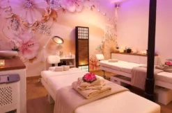 Ayurveda Massage Deluxe Bad Harzburg