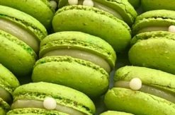 Backkurs Bad Saulgau (Macaron)