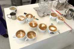 Barista Kurs Überlingen