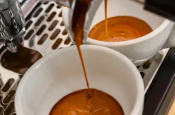 Barista Kurs für Anfänger in Hamburg