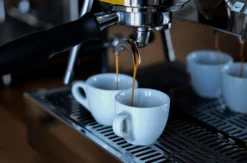 Barista Kurs für Fortgeschrittene Sulzbach-Rosenberg