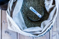 Barista-Kurs in der Kaffeerösterei