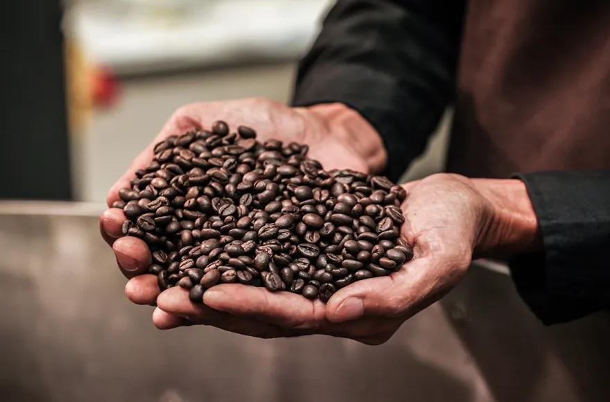 Barista Kurs Pößneck